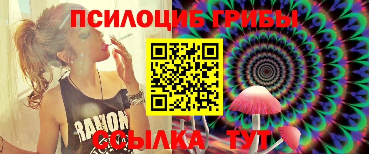 Кизляр  Псилоцибиновые грибы GOLDEN TEACHER  Псилоцибиновые грибы Magic Shrooms  Вход с VPN 